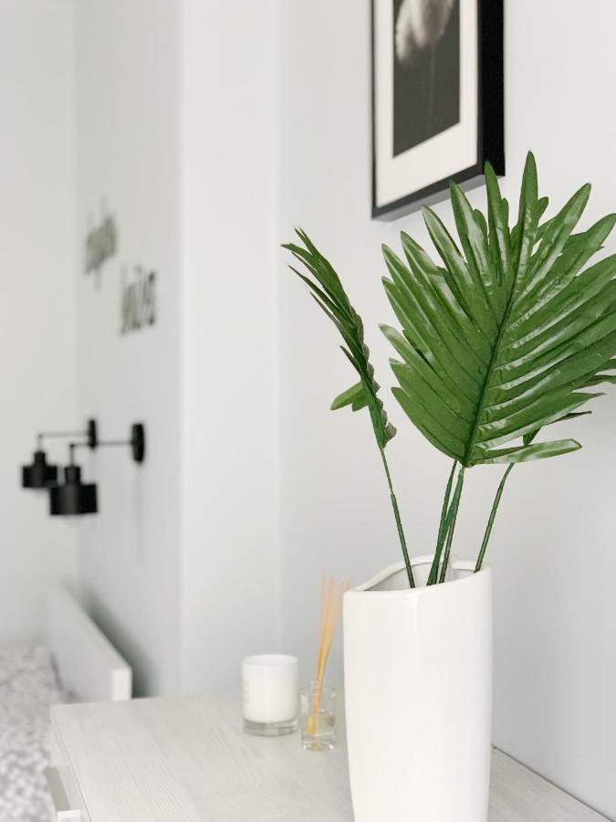 Apartament Chyba Snisz Łańcut Eksteriør bilde